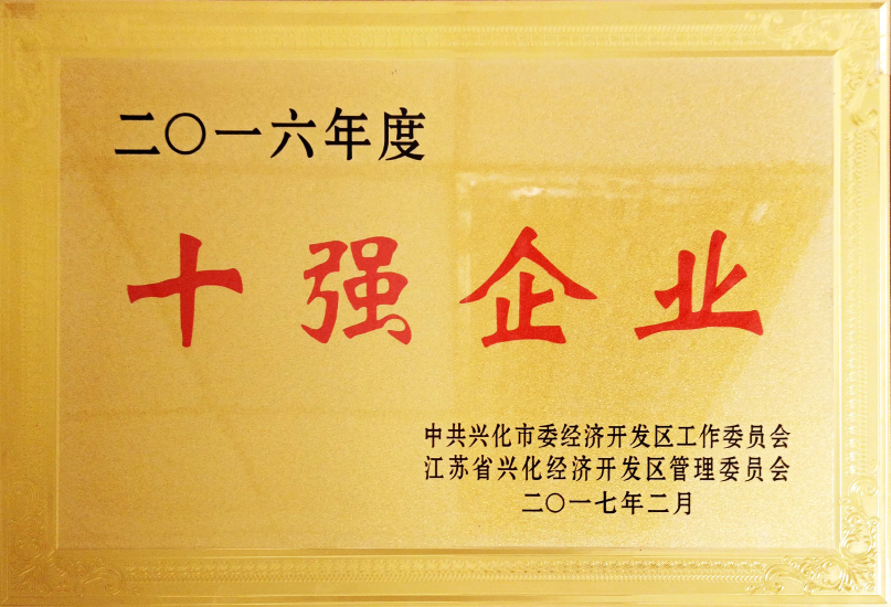 十強(qiáng)企業(yè)