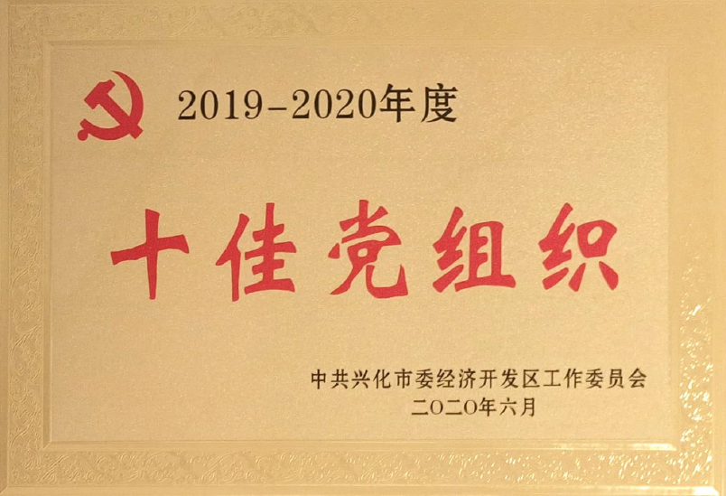 十佳黨組織